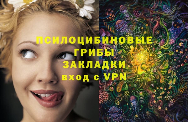 ECSTASY Алзамай