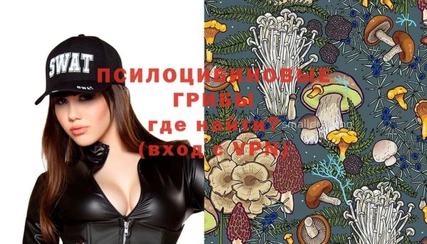 героин Абаза