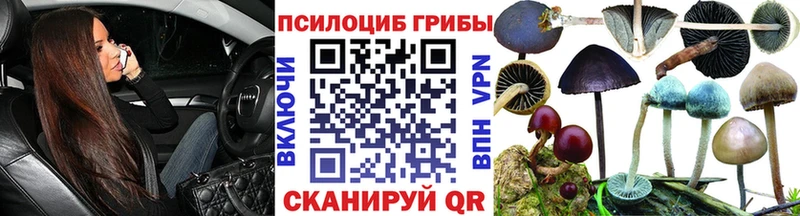 купить наркоту  Брюховецкая  Псилоцибиновые грибы Cubensis 